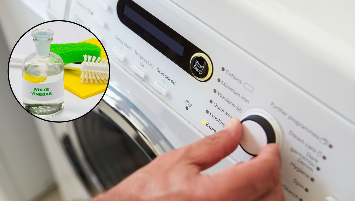 Realiza programas de lavado adecuados para cada tipo de prenda. Realiza programas de lavado adecuados para cada tipo de prenda.