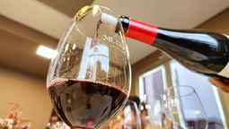 Frente a un consumo interno caído y exportaciones que no repuntan, habrá créditos para que las bodegas vendan más y paguen mejor el vino a los productores. Imagen ilustrativa  Frente a un consumo interno caído y exportaciones que no repuntan, habrá créditos para que las bodegas vendan más y paguen mejor el vino a los productores. Imagen ilustrativa