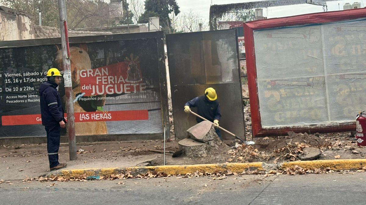 La fuga de gas ocurrió cuando los trabajadores de la Municipalidad de Las Heras intentaron sacar la base de un árbol cortado. La fuga de gas ocurrió cuando los trabajadores de la Municipalidad de Las Heras intentaron sacar la base de un árbol cortado.