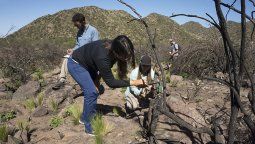 Así está el cerro Arco casi siete meses después de ser afectado por un incendio