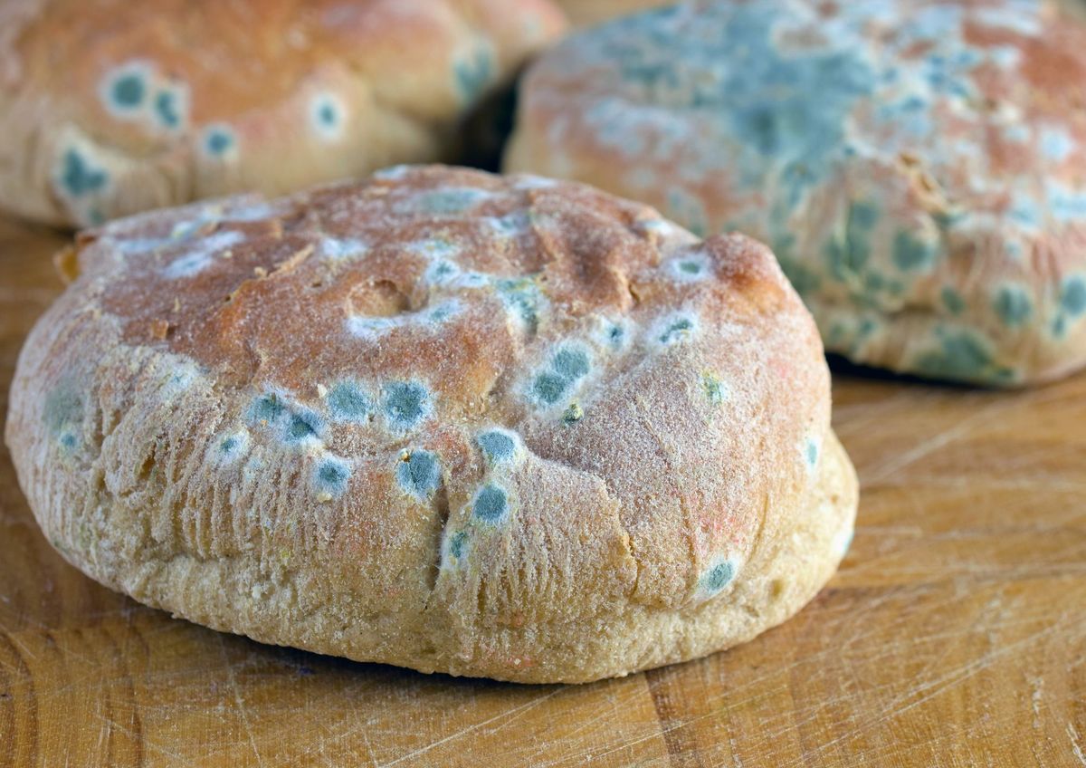 Qué pasa si comemos alimentos contaminados con moho