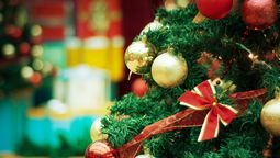 ¿Por qué muchas personas hoy dicen “no” al arbolito de Navidad? Lo que revela la psicología.