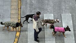 En las últimas 24 horas se produjeron 1.733 nuevos casos de Covid en Argentina.