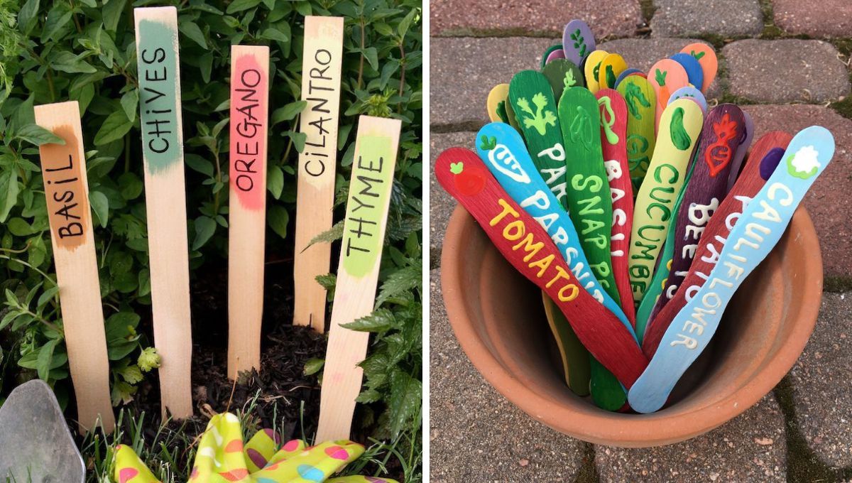 Reciclaje palitos de helado. Reciclaje palitos de helado. 