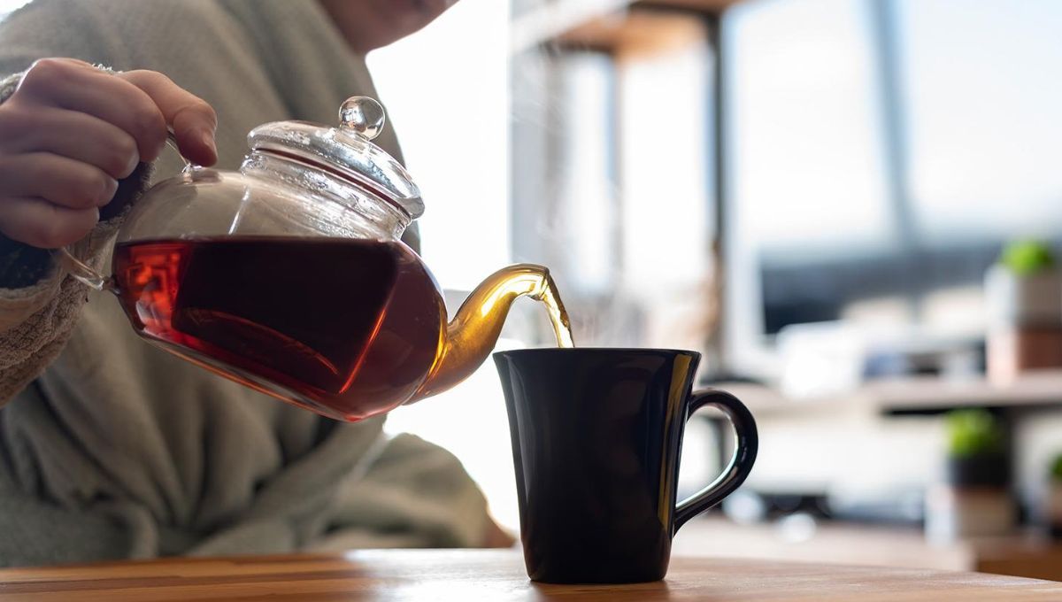  Por qué tomar té negro: los 5 beneficios de esta infusión