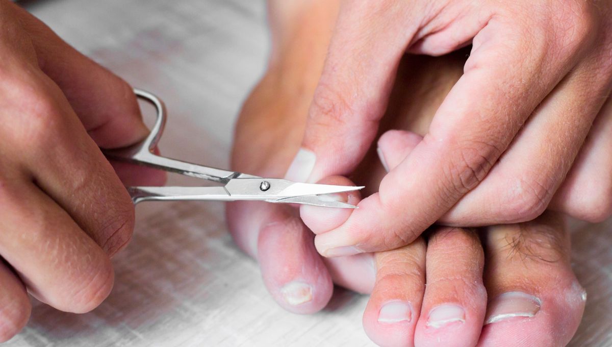 Las uñas no solo sirven para pintarse y arreglarse. Esta parte del cuerpo cumple funciones muy importantes. Las uñas no solo sirven para pintarse y arreglarse. Esta parte del cuerpo cumple funciones muy importantes.