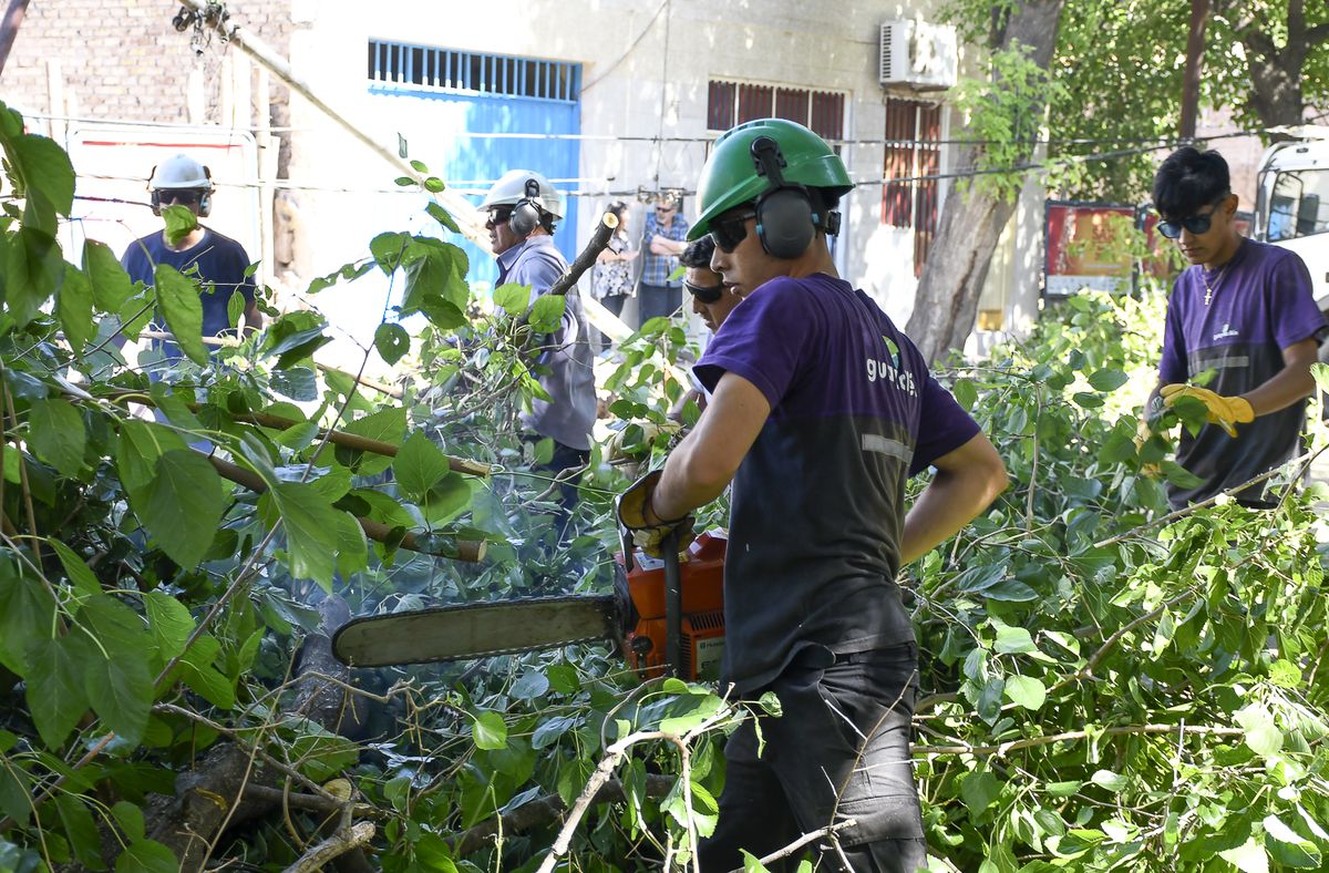 Trabajadores de la Municipalidad trabajaron durante la mañana para despejar zonas con árboles caídos. Trabajadores de la Municipalidad trabajaron durante la mañana para despejar zonas con árboles caídos.