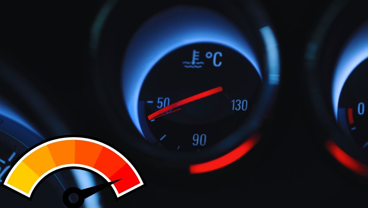 Fuente canva Fuente canva