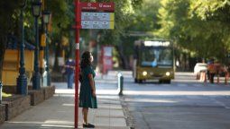 Coronavirus: tomar la temperatura a choferes