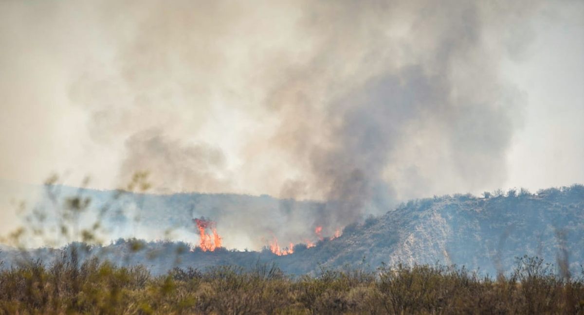 Más de 3.000 hectáreas que se vieron afectadas por los incendios en el monte nativo del Piedemonte. Más de 3.000 hectáreas que se vieron afectadas por los incendios en el monte nativo del Piedemonte.