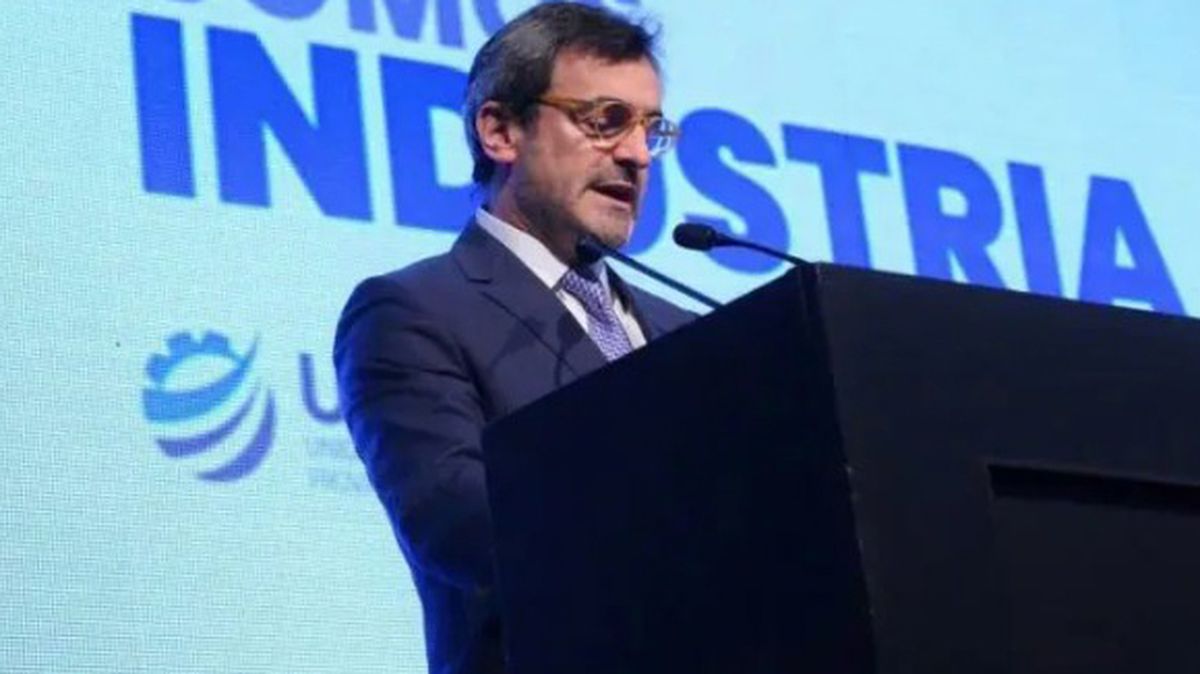 Martín Rapallini, presidente de la Unión Industrial Argentina. Martín Rapallini, presidente de la Unión Industrial Argentina.