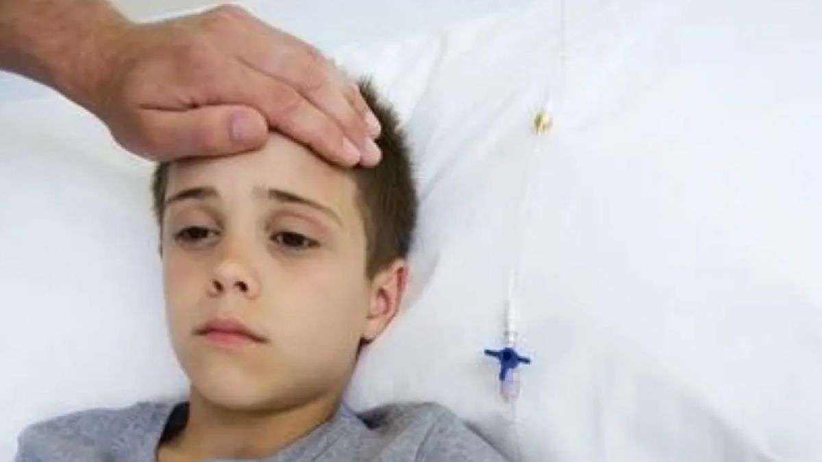 Los especialistas indican que la menigitis en los más chicos se puede prevenir y destacan la importancia de promover la vacunación Los especialistas indican que la menigitis en los más chicos se puede prevenir y destacan la importancia de promover la vacunación