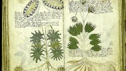 El manuscrito Voynich El manuscrito Voynich