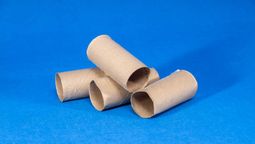 Estos tubos de papel higiénico te servirán para crear manualidades. Estos tubos de papel higiénico te servirán para crear manualidades.