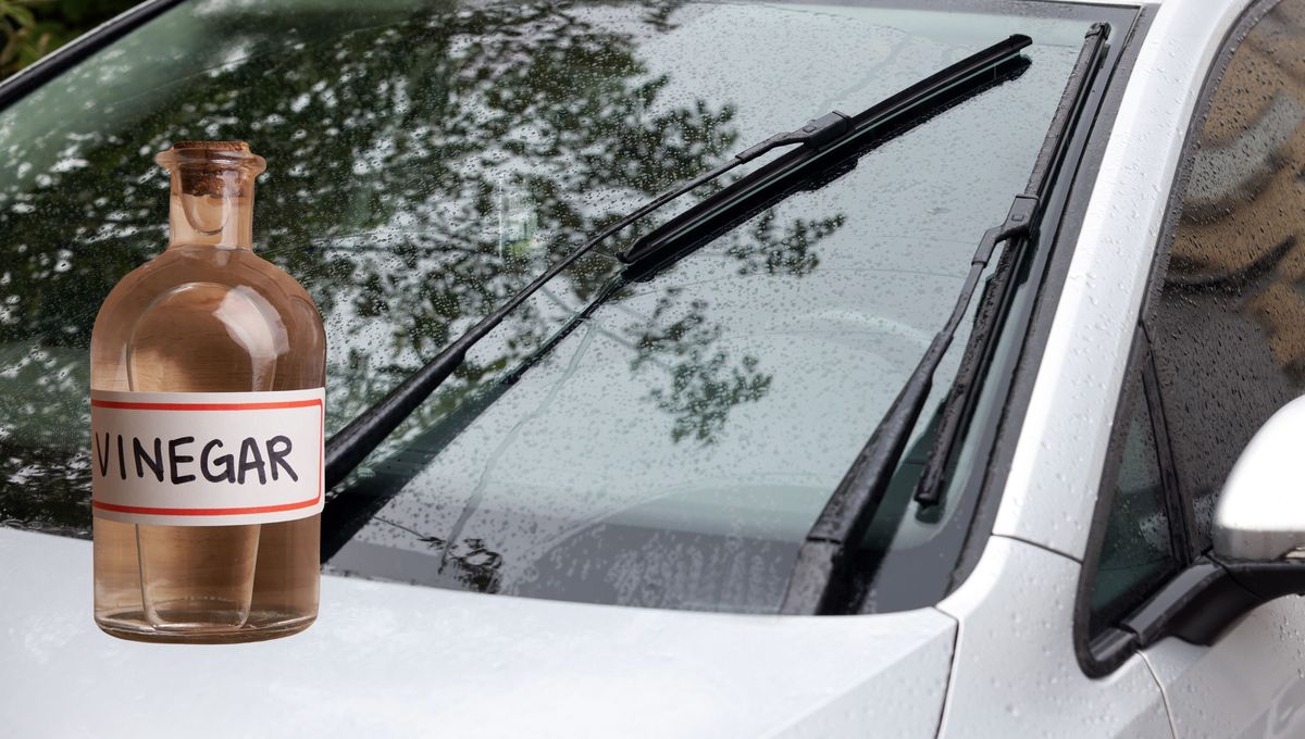 Utiliza vinagre siempre diluido rebajado con agua.