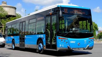España busca más de 4.700 conductores con urgencia: da trabajo y canjearán licencias de conducir a extranjeros para la oferta España busca más de 4.700 conductores con urgencia: da trabajo y canjearán licencias de conducir a extranjeros para la oferta