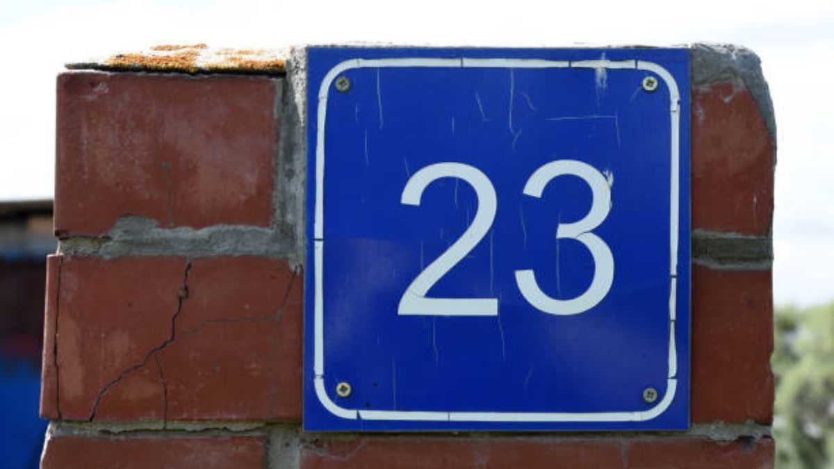 Cuáles son los números de la suerte del domingo 23 de noviembre, según las predicciones de la numerología