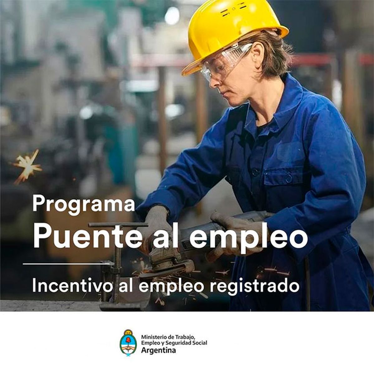 El objetivo del Programa Puente al Empleo es beneficiar a las empresas que contraten a personas registradas en los programas de empleo. El objetivo del Programa Puente al Empleo es beneficiar a las empresas que contraten a personas registradas en los programas de empleo.