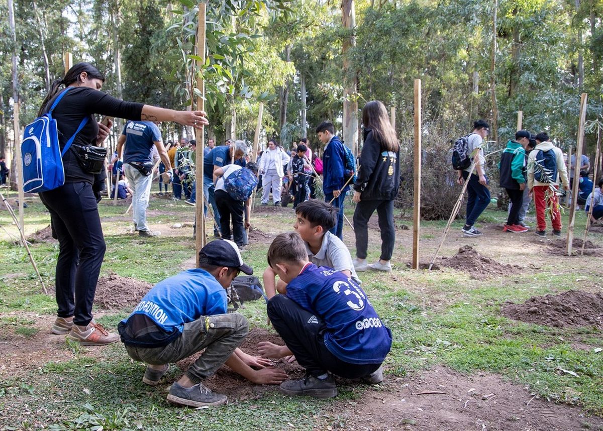 Los mendocinos debemos seguir plantando árboles y favoreciendo ese culto en nuestras casas y en las escuelas. Los mendocinos debemos seguir plantando árboles y favoreciendo ese culto en nuestras casas y en las escuelas.