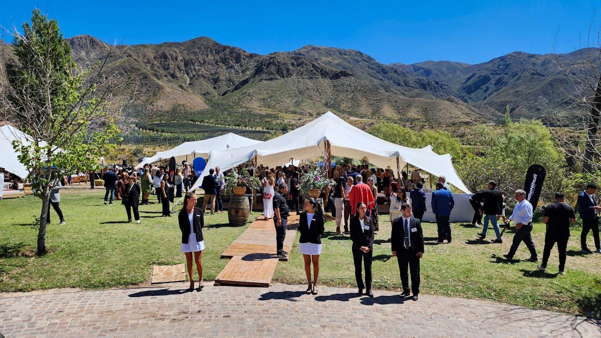 La Vendimia Solidaria en San Isidro ya está en marcha. La Vendimia Solidaria en San Isidro ya está en marcha.