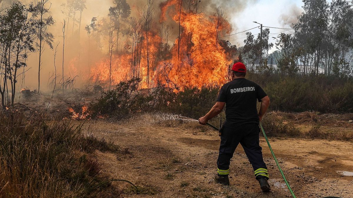 Toma las medidas necesarias si vives en un área forestal Toma las medidas necesarias si vives en un área forestal