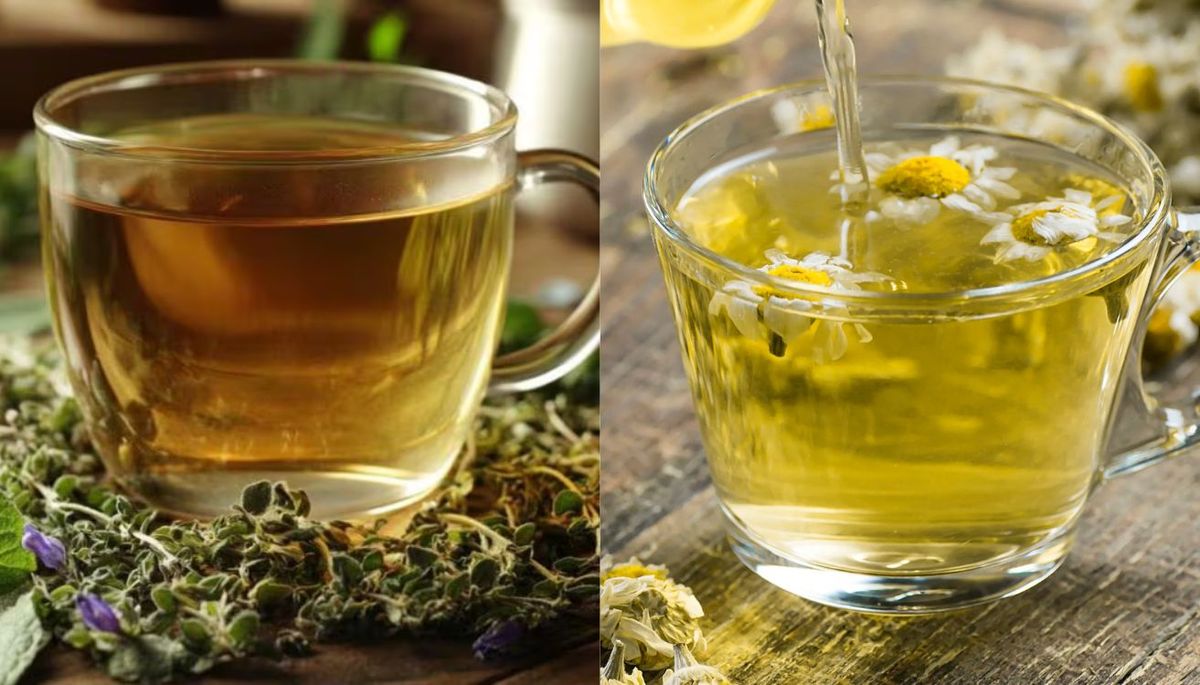 Descubre las propiedades del té de orégano y manzanilla. Imagen: Redacción Diario Uno