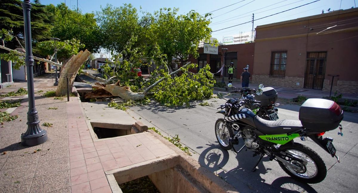 La Municipalidad de la Ciudad de Mendoza continúa trabajando para despejar las calles, luego de la acción del viento Zonda que se extendió por tres días. La Municipalidad de la Ciudad de Mendoza continúa trabajando para despejar las calles, luego de la acción del viento Zonda que se extendió por tres días.