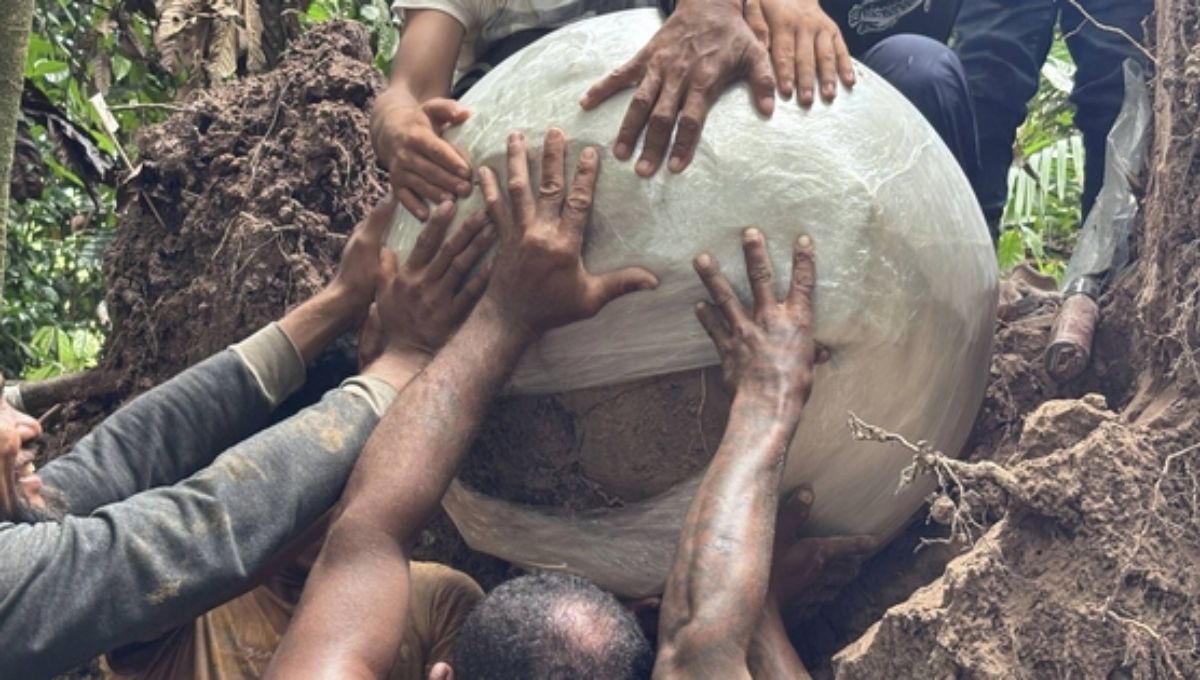 La isla artificial de América del Sur donde arqueólogos dieron a conocer 7 esferas que cambian la historia del Amazonas