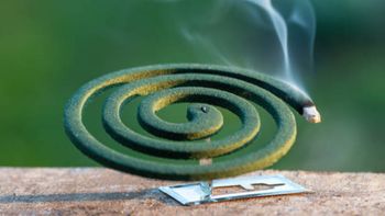 Cómo hacer un espiral casero con pocos ingredientes para ahuyentar a los mosquitos en verano Cómo hacer un espiral casero con pocos ingredientes para ahuyentar a los mosquitos en verano