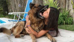 Jugaba con su perro junto a  la pileta