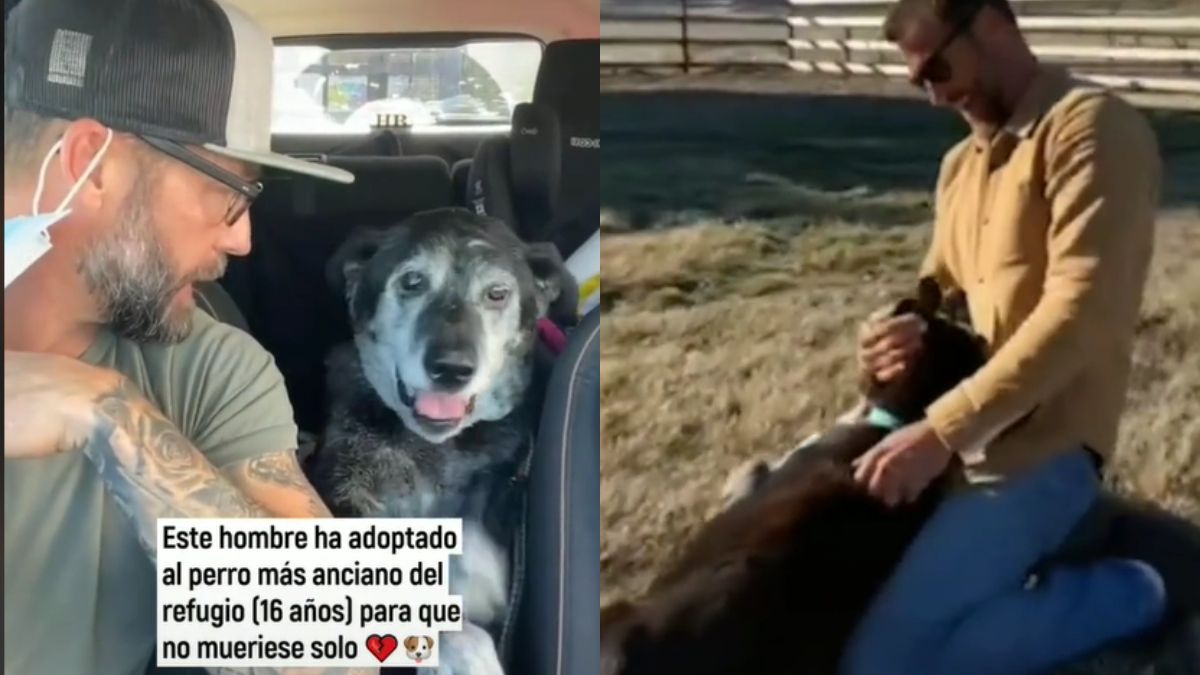 Adoptó a un perrito anciano para que no muriera solo y emocionó a todos