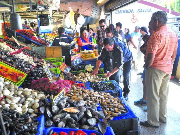 Una mañana en Caleta Portales, la capital de los frutos de mar en Valparaíso