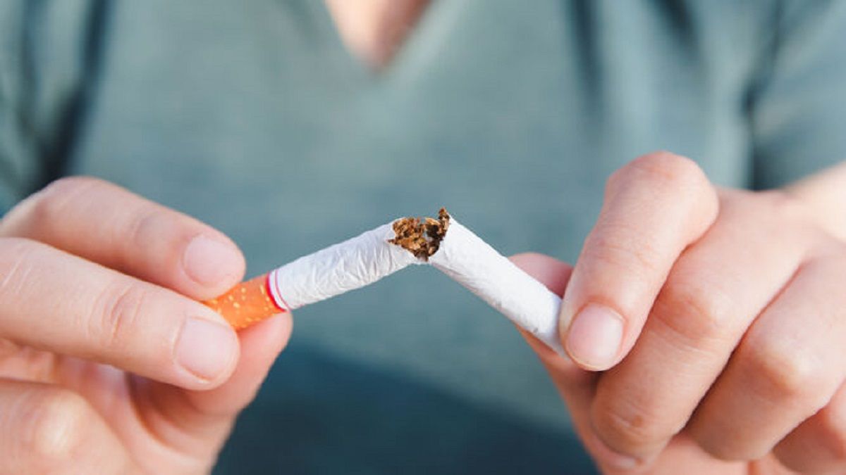 Las arañas de casa pueden ser ahuyentadas con un poco de tabaco. Las arañas de casa pueden ser ahuyentadas con un poco de tabaco. 