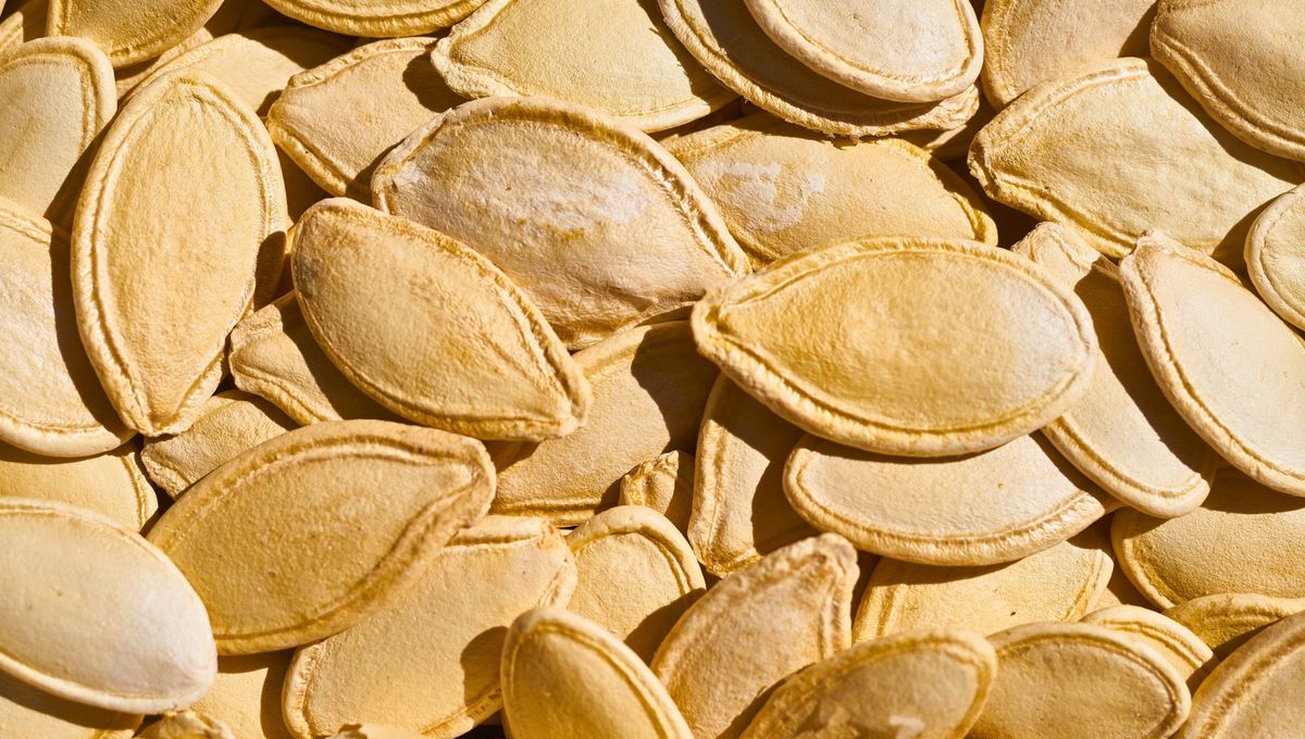 Estas semillas son un gran tesoro en el mundo culinario y de la jardinería Estas semillas son un gran tesoro en el mundo culinario y de la jardinería