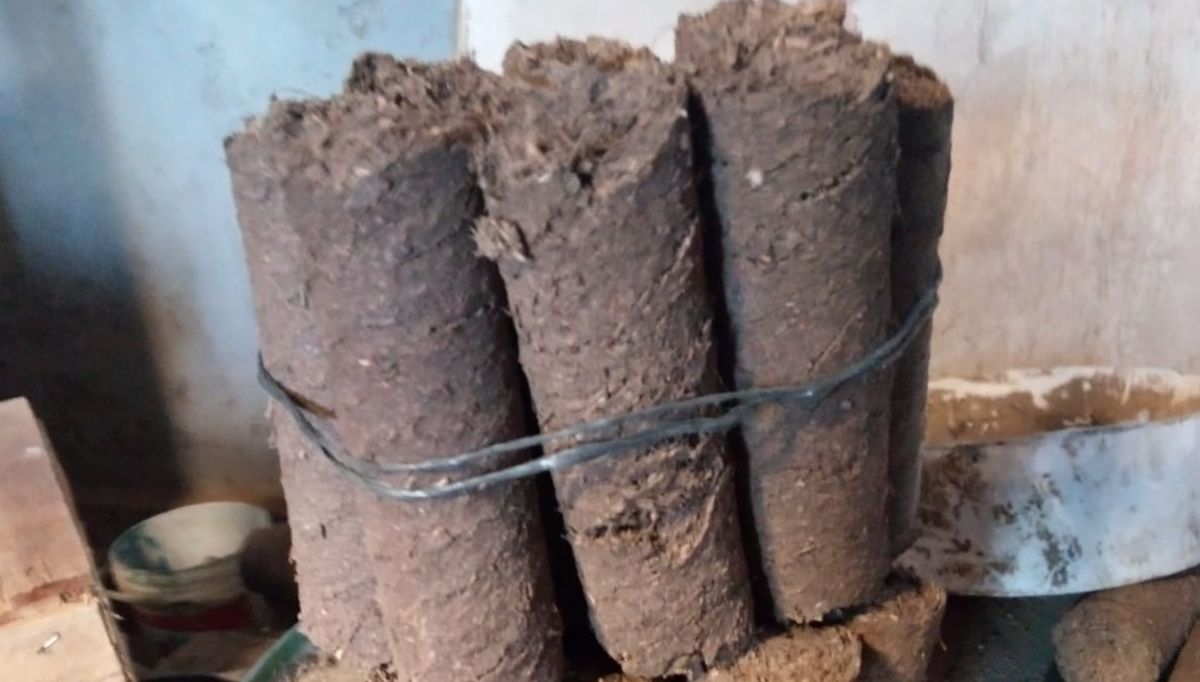 Miguel tomó la idea inicial de método que utilizaba China para comprimir los residuos secos y convertirlos en energía eléctrica. Miguel tomó la idea inicial de método que utilizaba China para comprimir los residuos secos y convertirlos en energía eléctrica.
