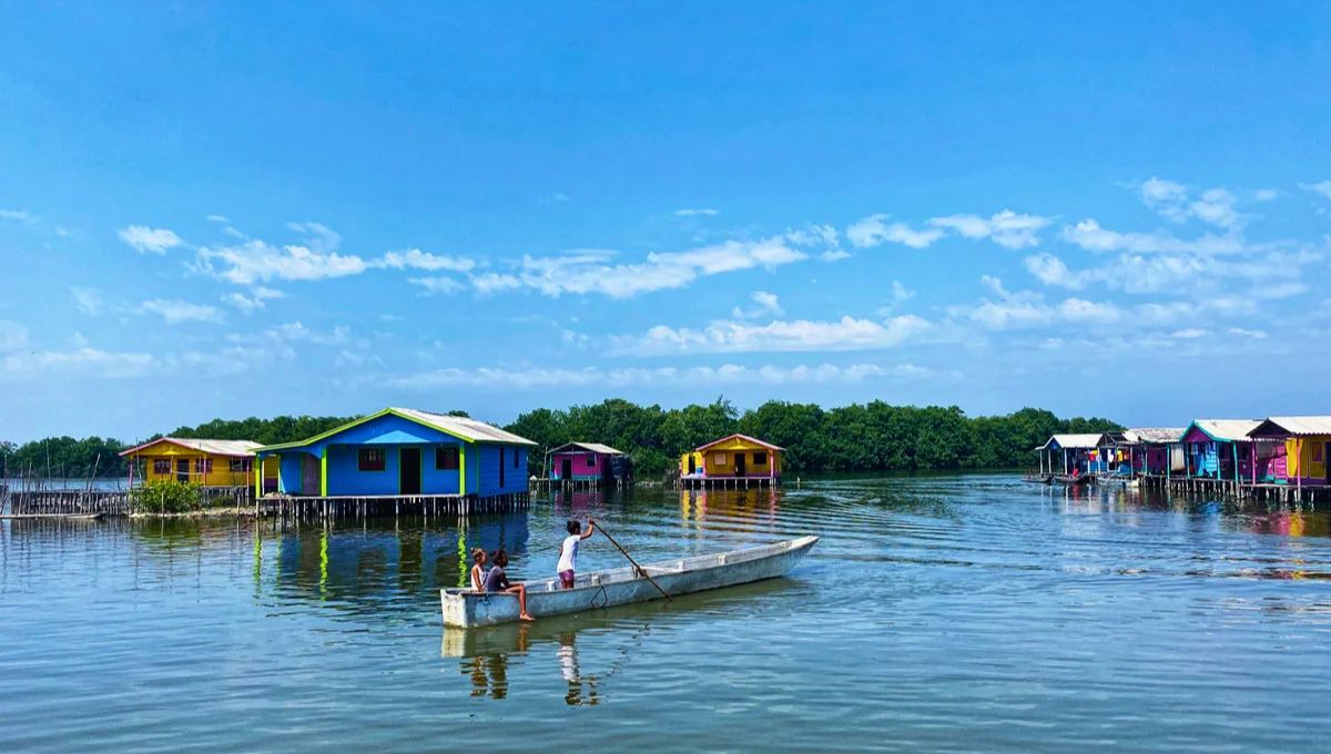 Nueva Venecia es un pueblo palafítico, lugar que fue creado en medio de la ciénaga grande de Santa Marta -Magdalena-. Allí las coloridas casas están apoyadas en estacas y tienen las calles "pavimentadas" de mar. Nueva Venecia es un pueblo palafítico, lugar que fue creado en medio de la ciénaga grande de Santa Marta -Magdalena-. Allí las coloridas casas están apoyadas en estacas y tienen las calles "pavimentadas" de mar.
