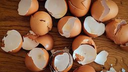 Descubrí los usos que podés darle a las cáscaras de huevo. Descubrí los usos que podés darle a las cáscaras de huevo.