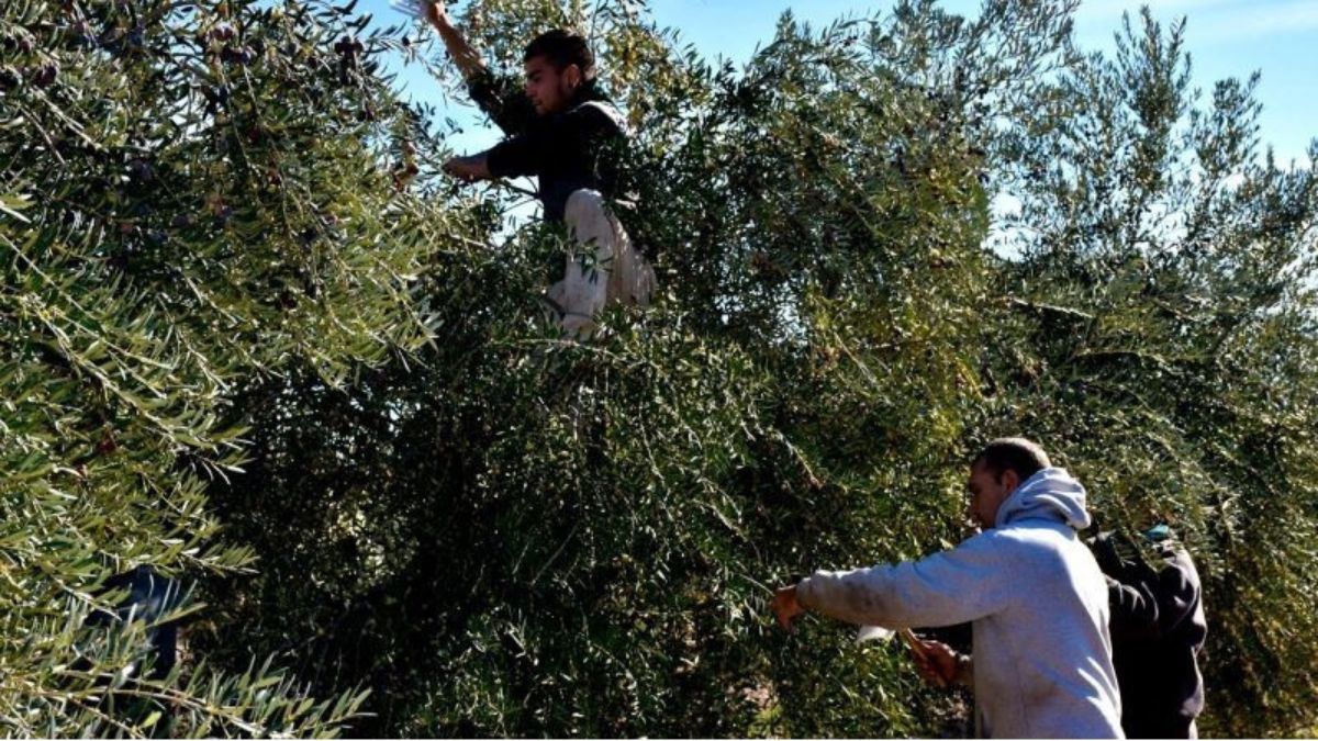 Así trabajan los jóvenes en recuperación de adicciones en las instalaciones de Remar Mendoza. (Foto: página web de Remar). 