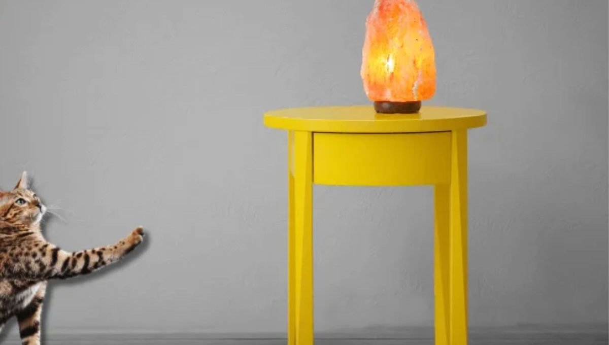 La lámpara de sal puede ser tóxica para las mascotas, sobre todo para los gatos. La lámpara de sal puede ser tóxica para las mascotas, sobre todo para los gatos.