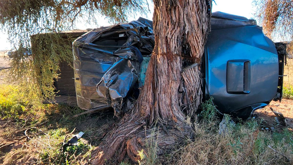 Un hombre de 61 años murió tras impactar el techo de la camioneta que manejaba contra un árbol.
