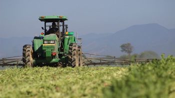 San Martín insta a contratar el seguro agrícola ante el riesgo de tormentas severas por el Súper Niño