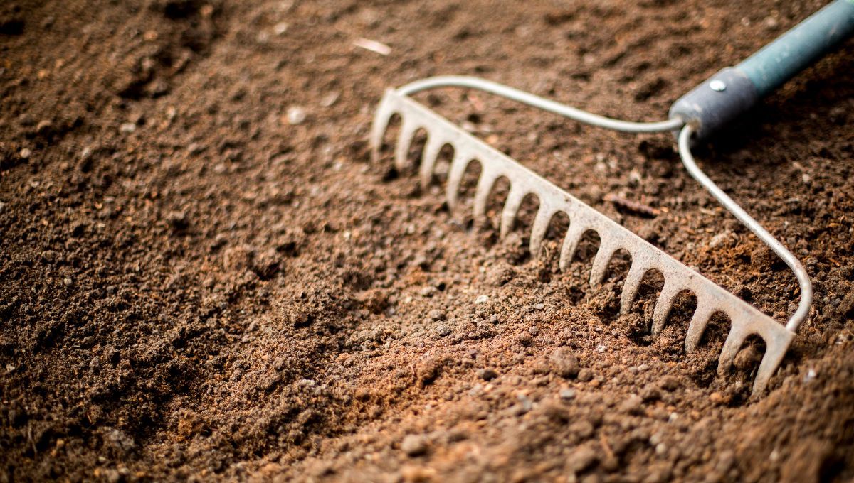 Recicla tu viejo rastrillo y conviértelo en este ingenioso adorno para tu casa