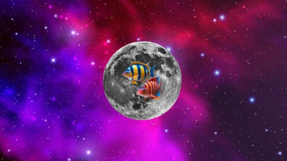 Luna en Piscis: las predicciones astrológicas para los 12 signos del ...
