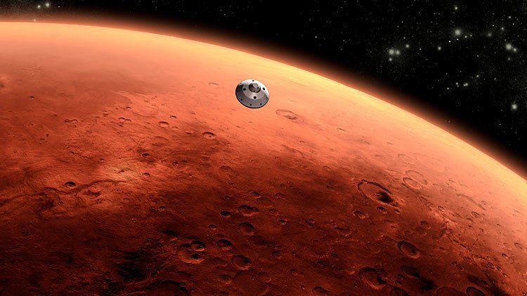 Voluntarios de la NASA encuentran arañas marcianas