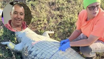 Estaba desaparecido tras una tormenta y lo encontraron adentro de un cocodrilo
