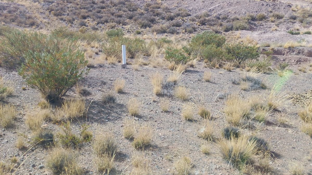 Esos tubos blancos asoman unos 50 cm de largo desde la superficie. Por ellos ingresó la perforadora que obtuvo muestras durante la exploración minera de San Jorge. Esos tubos blancos asoman unos 50 cm de largo desde la superficie. Por ellos ingresó la perforadora que obtuvo muestras durante la exploración minera de San Jorge.