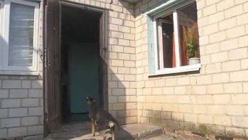 Asesinó a su pareja mientras dormía, le cortó el pene y se lo dio a los perros