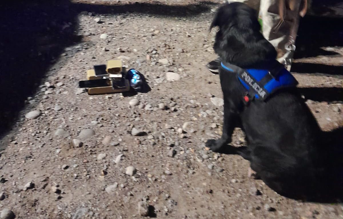 La perrita Anahí contribuyó al exitoso operativo anti drogas en San Rafael. La perrita Anahí contribuyó al exitoso operativo anti drogas en San Rafael.