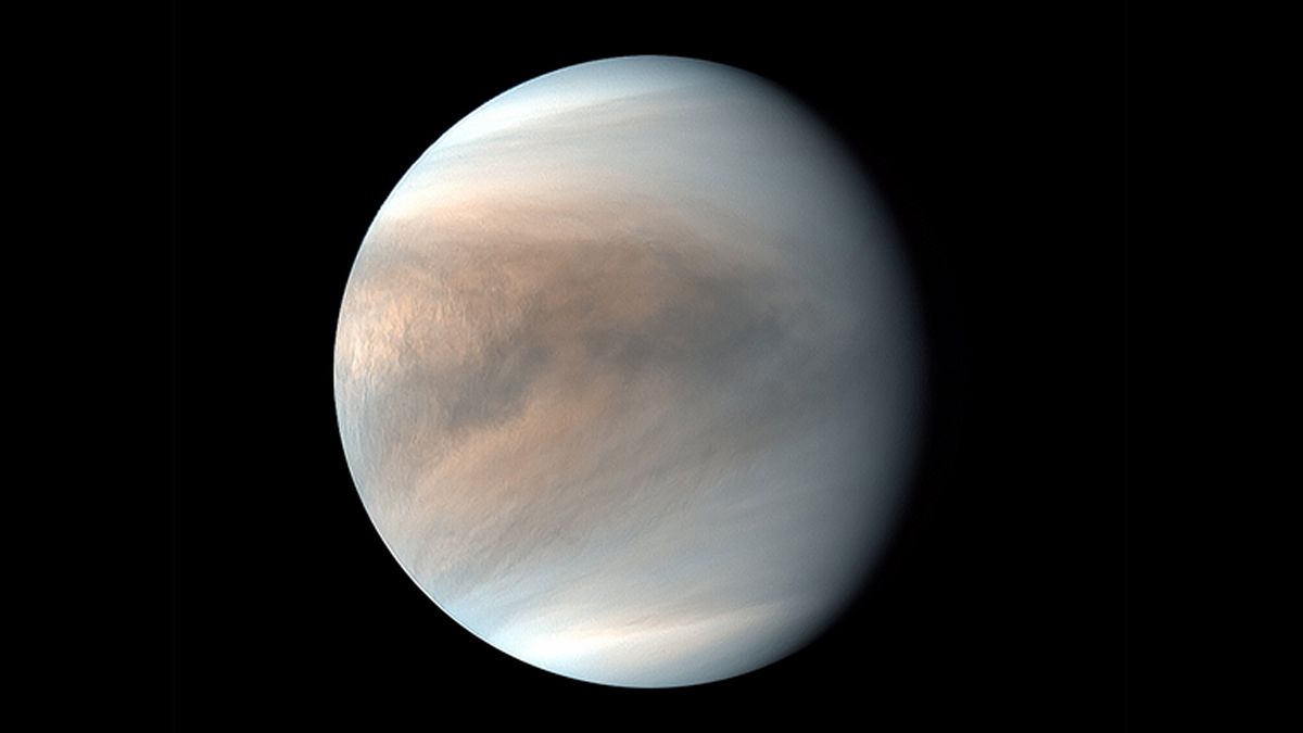 Astrología: los 4 signos que arderán de pasión con Venus en Aries en mayo 2024 Astrología: los 4 signos que arderán de pasión con Venus en Aries en mayo 2024