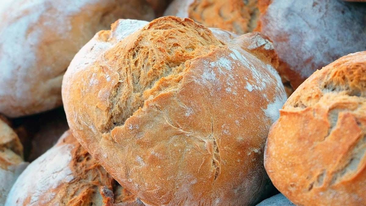 Recetas: pan casero exquisito con 3 ingredientes.